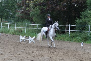 Bild 383 - WBO-Turnier am 18.9.11